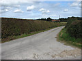 Drive to Wood Farm - the farm can be seen in the distance