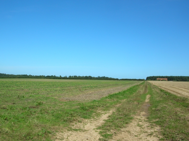 Farmland at Egmere
