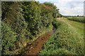 Stream near Darlton