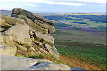 SK2581 : Rocky outcrop on Higger Tor by Roger Temple