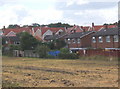 Field and edge of housing at Claydon