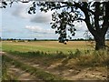 Farmland off track near Rooker Hill.