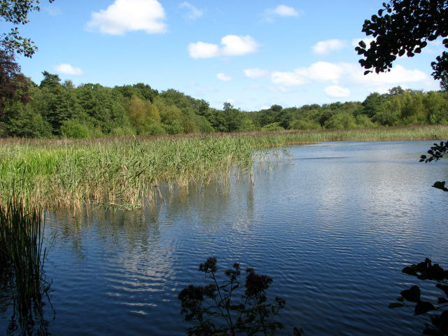 Fishing Pond in Old Decoy Plantation © Evelyn Simak cc-by-sa/2.0 ...