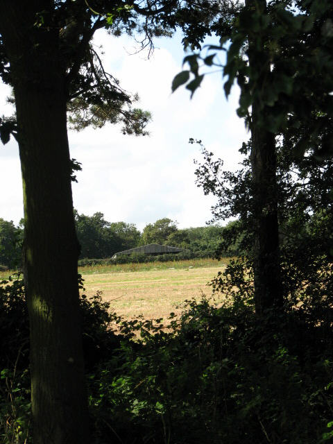 View west towards a shed at Lodge Farm