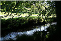 Yealmpton: below Puslinch Bridge