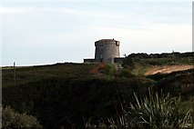 S8003 : Martello tower at Baginbun by Paul O'Farrell