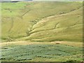 NT7510 : Sheepfolds near Nether Hindhope by Richard Warren