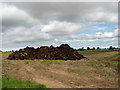 Muck heap in harvested field