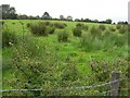 Milltown Townland