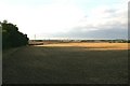 Fields at Flowton Tye