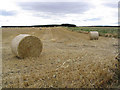 Harvest Bales