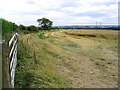 Cornfield at Longwitton