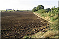 Arable field near Greatlaw