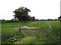 Pasture near the river Glaven