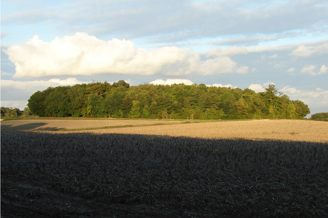 Poppy Hill Plantation