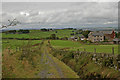 Looking down Meadow Head Lane