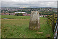 Trig point on Bank Hey