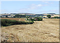 Crop Fields by Little Oxenbold Farm, Shropshire