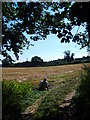 View from Chestnut Coppice