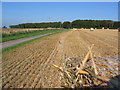 Farmland NE Of Wragholme