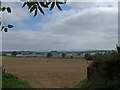 Open Farmland near Bishop