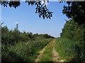 Track, South Somercotes