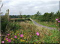 Towards Woodbridge near Little Rodmore Farm