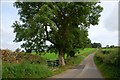 The Clay Road near Banbridge (1)