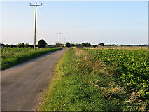 TL3995 : Cross Road, Burrow Moor, March, Cambs by Rodney Burton