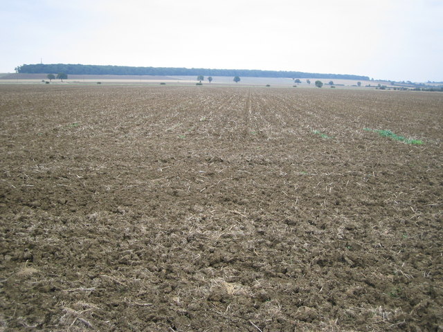 Ploughed wheat field