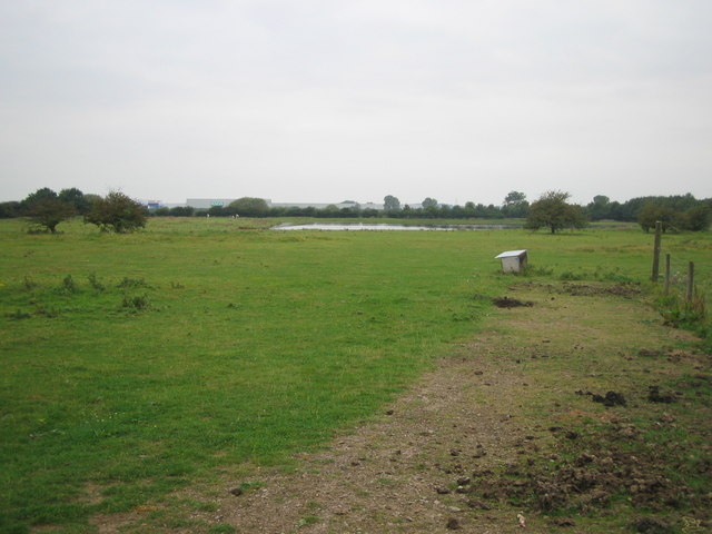 Pond on scrubland
