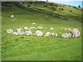 SD8979 : Yockenthwaite Stone Circle by John Illingworth