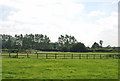 Styles Farm, Henstridge Marsh