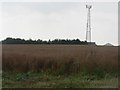 Bradford Peverell: field and radio mast