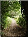 Footpath behind Industrial Park, Loddon