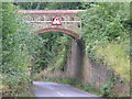 TQ0951 : The Lovelace Bridge, Dorking Arch by Colin Smith