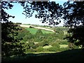 View across the Allen valley from Kenwyn cemetery