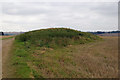 TF2386 : Grim's Mound by David Wright
