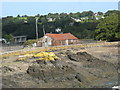 An old tin shack by Ynys Faelog