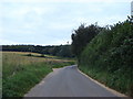 Fyning Lane looking towards Fyning Wood