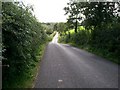 Country Lane off the Kilmacanty Road, Kilmore.