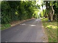 A Picturesque Rural Road at Mullalelish, Richhill.