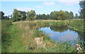 Riverside scene with footpath