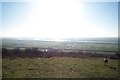 Canvey Island seen from Hadleigh Country Park