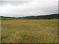 Stubble field, Great Cumbrae