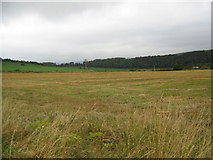 NS1655 : Stubble field, Great Cumbrae by wfmillar