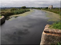 SX9687 : Exeter Canal near Topsham by Derek Harper