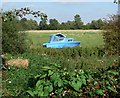 Blue boat in a green field