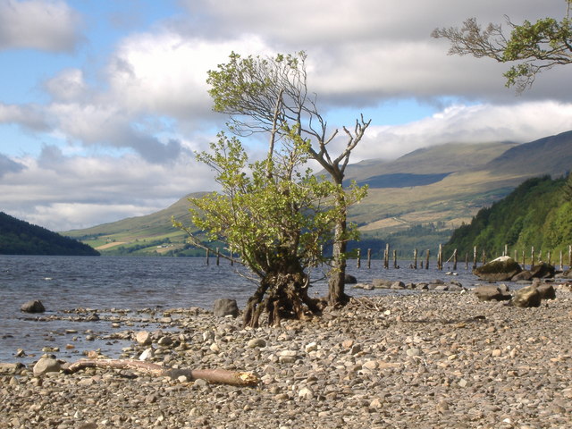 View Along Loch Tay From Dalerb © Steve Reeves cc-by-sa/2.0 :: Geograph ...