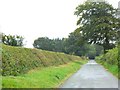 Asymmetric hedge trimming